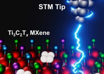 Scanning Tunneling Microscopy Mapping MXene Surfaces