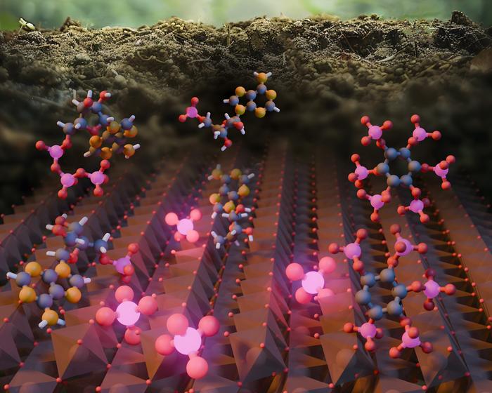 Phosphorus illustration