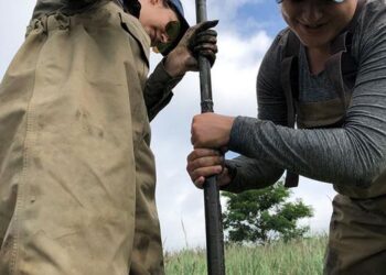 Researchers collecting core samples