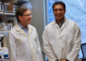 Gene therapy researchers Jeffrey Chamberlain and Hichem Tasfaout