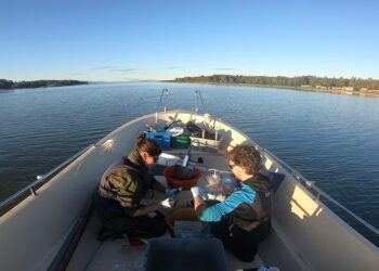 Sample collecting