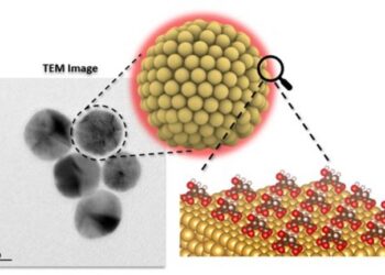 Understanding how nanoparticles interact with organic molecules