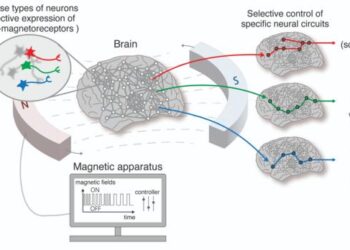 Figure 1. Overview of nano-MIND technology - regulation of higher-order brain functions through selective control of specific neurons and brain circuits