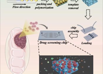 Tailoring esophageal tumor spheroids on a chip with inverse opal scaffolds for drug screening