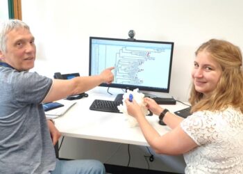 Principal investigator PD Dr. Maik Behrens and doctoral student Silvia Schäfer in the office