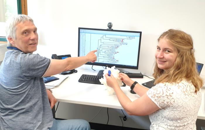 Principal investigator PD Dr. Maik Behrens and doctoral student Silvia Schäfer in the office