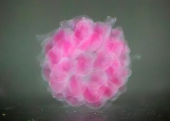 DASP 3D-printed sphere