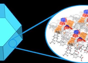 CSD-Particle can provide insight into surface chemistry and topology