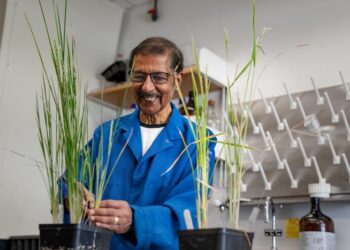 Plant Biologist Awarded Wolf Prize in Agriculture