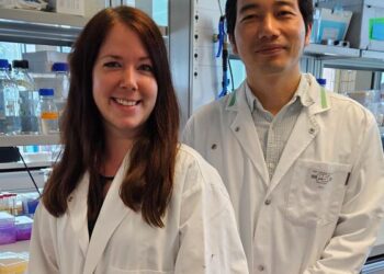 Protein droplets likely don’t cause Parkinson’s