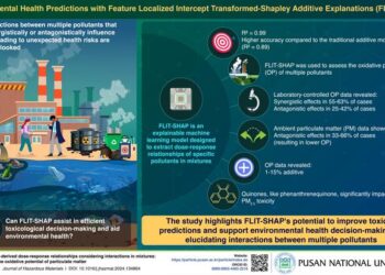 Understanding multi-pollutant toxicity with machine learning