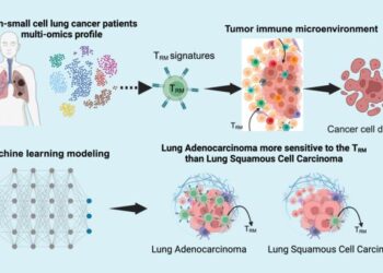 Recent study reveals key immune cells as critical factors in