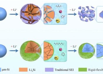 Schematic diagram of the influence of SEI on microsized silicon anodes during cycling
