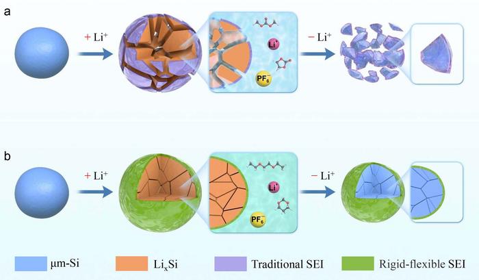 Schematic diagram of the influence of SEI on microsized silicon anodes during cycling