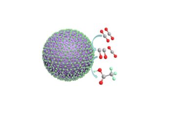 Polyaniline catalyst coated in cobalt oxide nanoparticles
