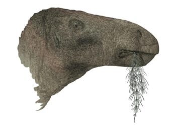 Research reveals the most complete dinosaur discovered in the UK