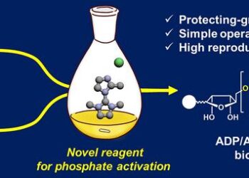 Improved coupling reaction enhances ADP/ATP-containing biomolecule yield