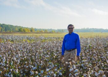 First Cotton Quality Module