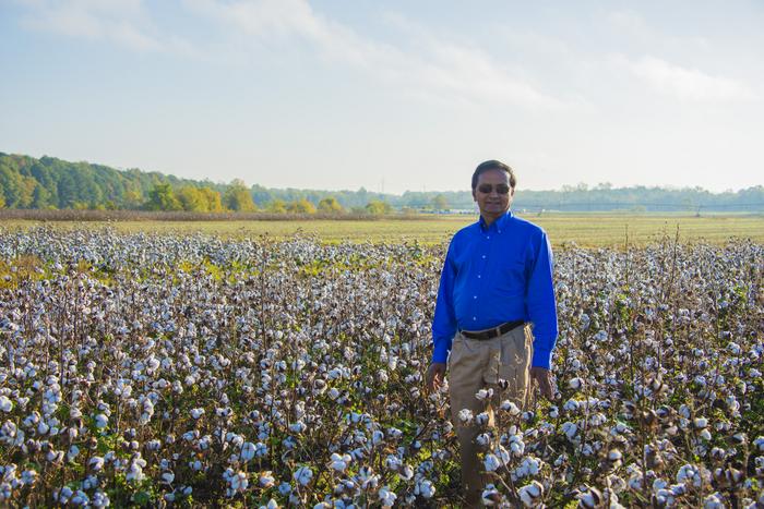 First Cotton Quality Module