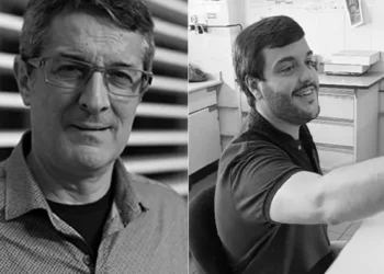 Researchers decipher new molecular mechanisms related to biological tissue regeneration