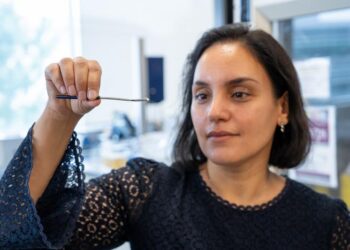 Phages stored in solid form