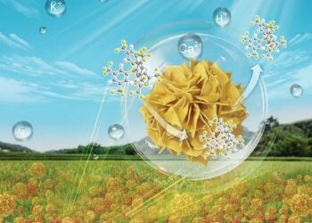 Researchers Develop Stable Solid Contact Calcium Ion-Selective Electrode Using Copper Sulfide Nanoflowers