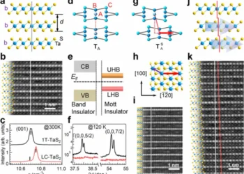 Researchers Introduce New Method to Fine-Tune Properties of Layered Transition Metal Dichalcogenides Crystals