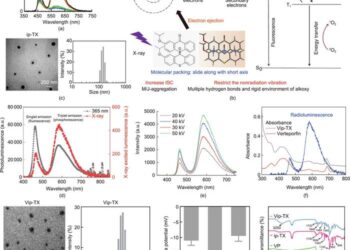 Revolutionary x-ray-sensitizers could transform cancer treatment with low-dose radiation therapy