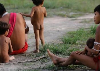 Scientists call for urgent action to tackle nutritional crisis devastating the Yanomami