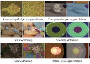 Results of segment anything model (SAM) on various real-world applications