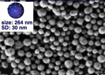 Shaping the future of polymer nanocarriers