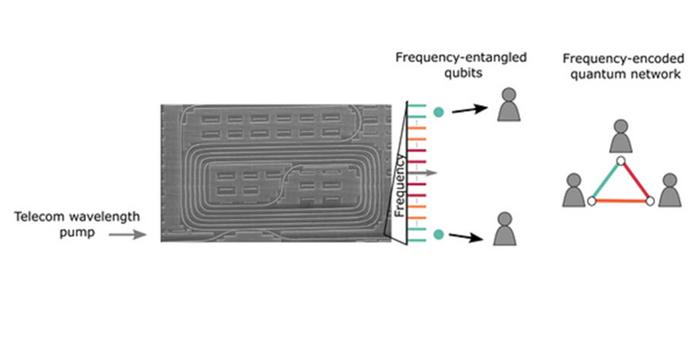 A silicon microresonator (left, SEM image) provides a parametric broadband source for frequency-entangled photon pairs 21 GHz apart to achieve frequency-encoded large-scale quantum networks.