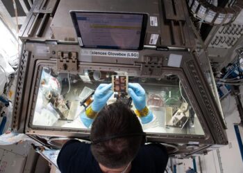 Astronauts conducting experiments on muscle chips