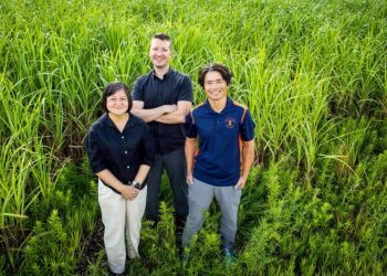 Researchers in the field