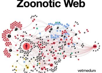 Zoonotic web