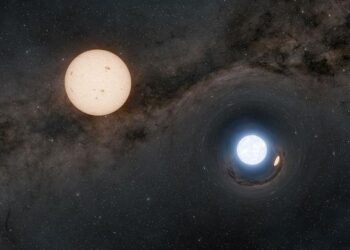 Binary Star System Made up of Neutron Star and Sun-like Star
