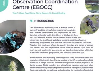 MAMBO's contribution to the development of the European Biodiversity Observation Coordination Centre (EBOCC)