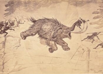 Hunting the Hairy Mammoth