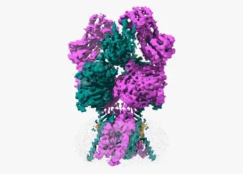 NDMAR protein 3D