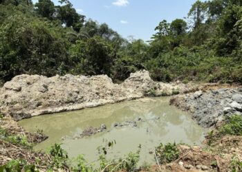 Thousands of birds and fish threatened by mining for clean