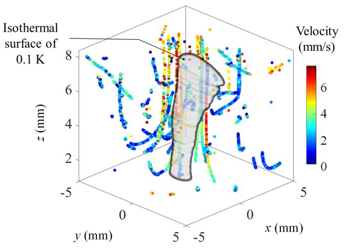 Simultaneous mapping of fluid flow and temperature in 3D.