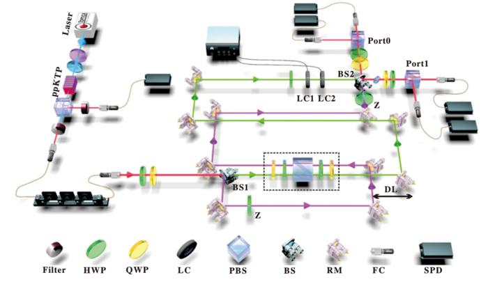 Experimental Demonstration of Input-Output Indefiniteness in a Single Quantum Device