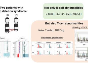 Analysis of two patients with 18q deletion syndrome revealed T-cell abnormalities in addition to B-cell abnormalities
