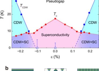 Long-range charge density wave (CDW) order induced by strain in optimally doped Bi2Sr2-xLaxCuO6+δ superconductor