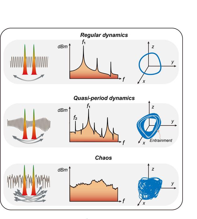 The high-precision detection technology accurately captured the quasi-periodic path of the molecule transitioning from order to disorder