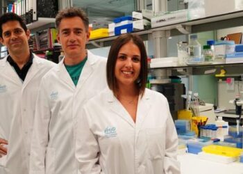 VHIO's Stem Cells and Cancer Group