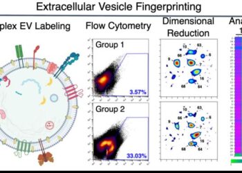Extracellular Vesicle Fingerprinting