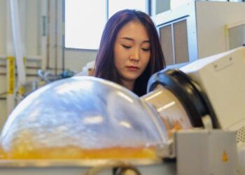 Fujunzhu Zhao, a Ph.D. student, works in Zhiwu