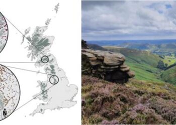 Jonell map and photo