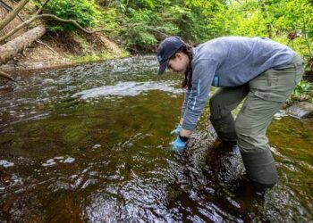 Microplastics-news-feature